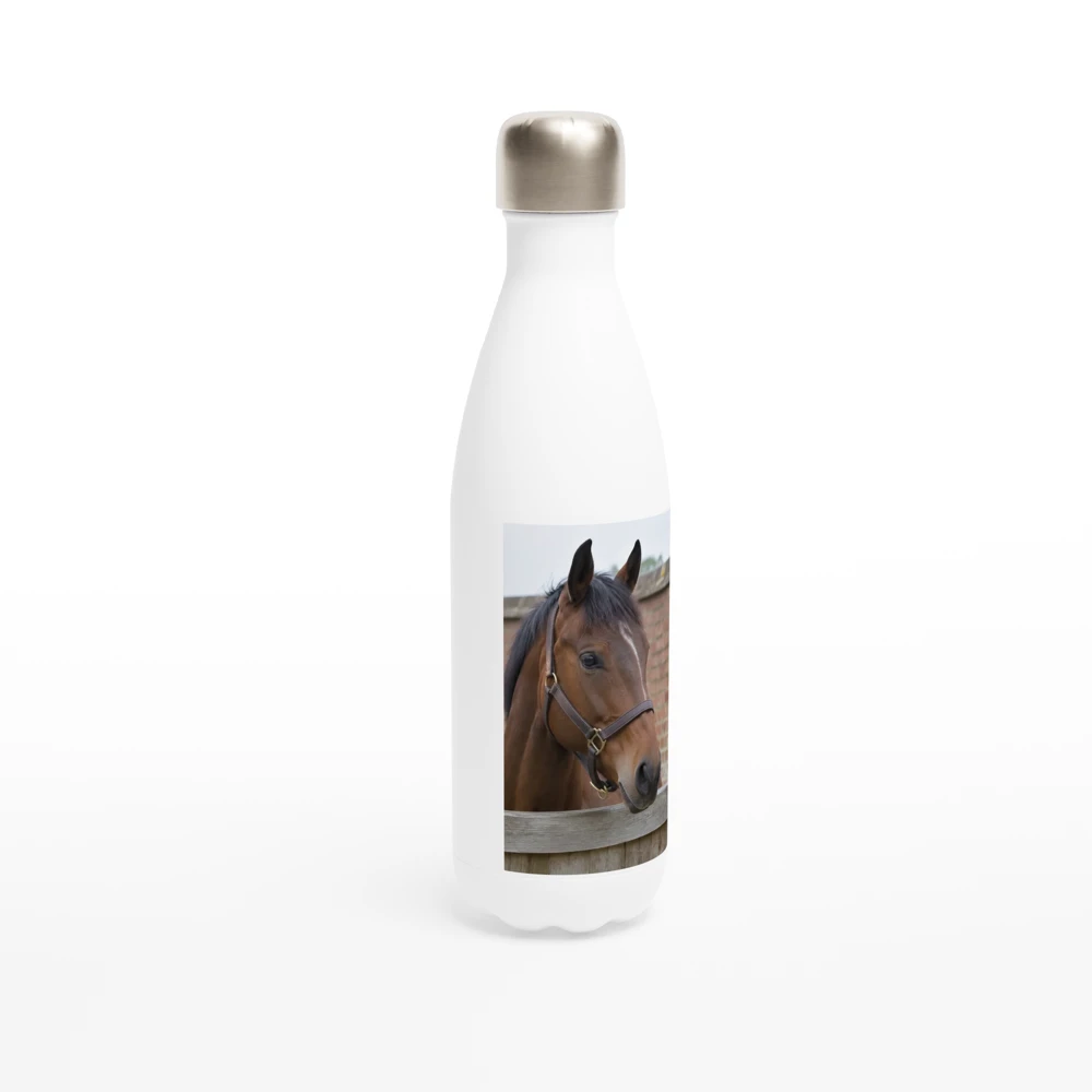 Mock-up: the example image on a 500ml steel bottle